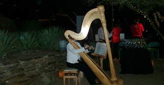 Luminarias Harp
