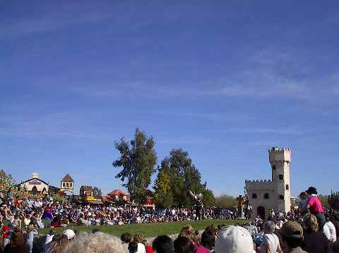 Birds of Prey Show on the Falconer's Heath