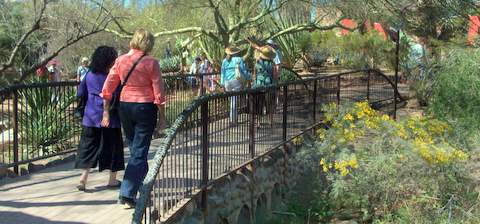 garden lined walkway