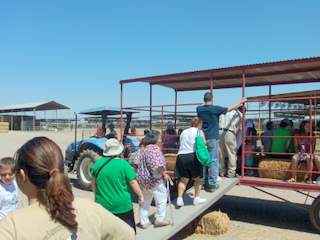 Superstition Farm Hay Wagon