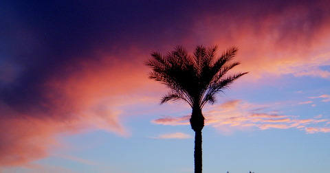 Arizona Sunset