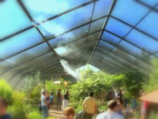 Butterfly Interior with Water Misters