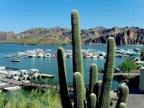 Saguaro Lake Marina