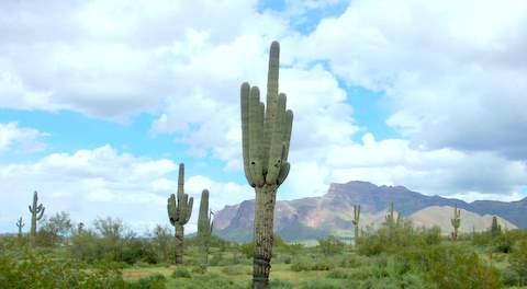 Silly Mountain Trailhead with a View of the Superstitions