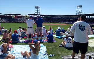 Sloan Park grass seating