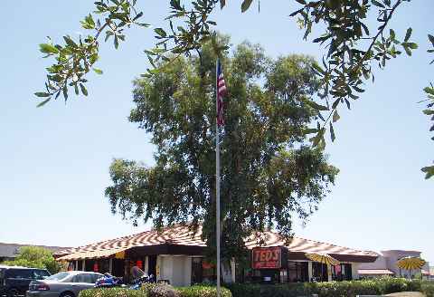 Ted's Hot Dogs in Tempe Arizona