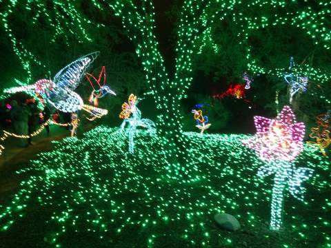 Zoolights!