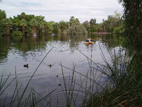 Phoenix Zoo Lake with boat and ducks